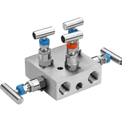 Steel Manifold Valve