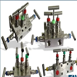 Five Way Valve Manifold