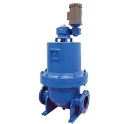 Cleaning Self Strainers