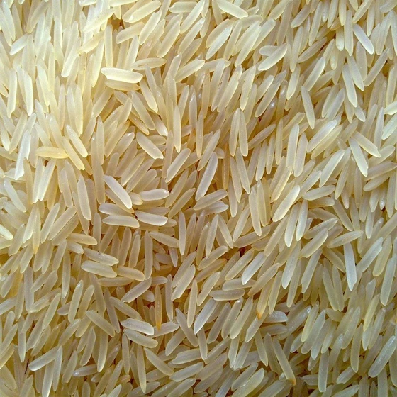 golden-basmati-rice-1.webp