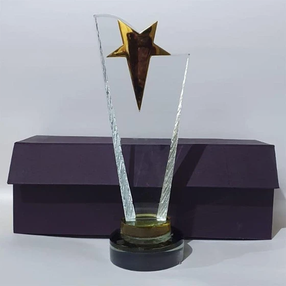 award-crystal-trophy-1.webp