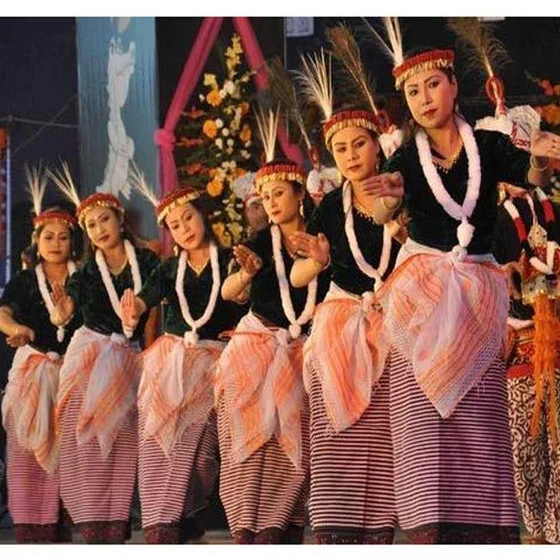 ethnic-dance-costumes-2.webp