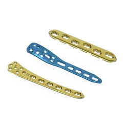 Bone Locking Plates