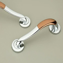 Polished Door Handles