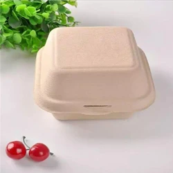 Bagasse Burger Box