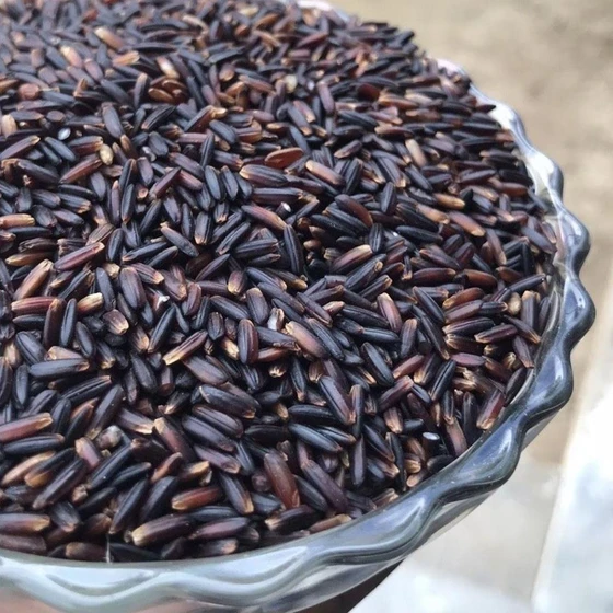 organic-black-rice-1.webp