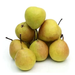 Fresh Pears Fruit