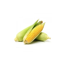 Fresh Sweet Corn