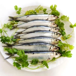 Whole Sardine Fish