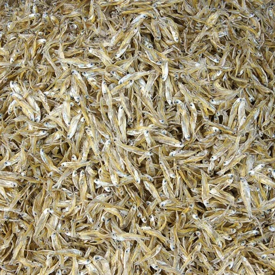 small-dried-fish-1.webp