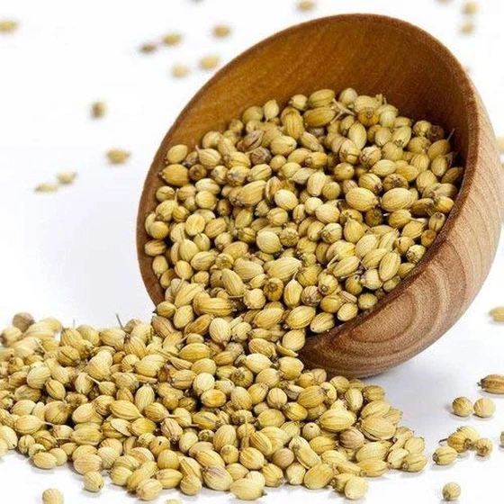 coriander-seeds-1.webp