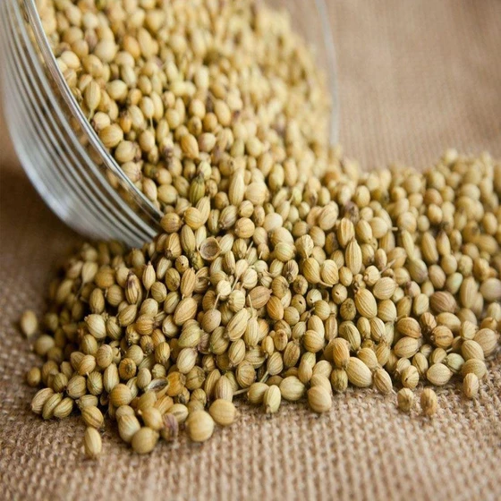 coriander-seeds-2.webp