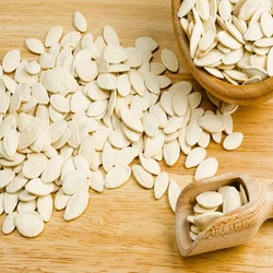 Plain Pumpkin Seeds 