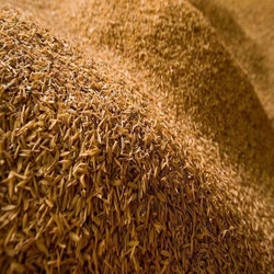 Brown Rice Husk
