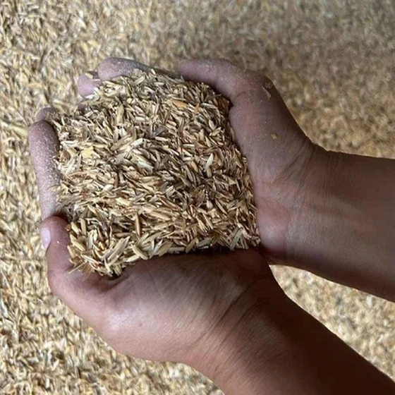 organic-rice-husk-1.webp