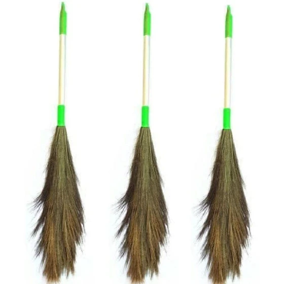white-grass-broom-2.webp