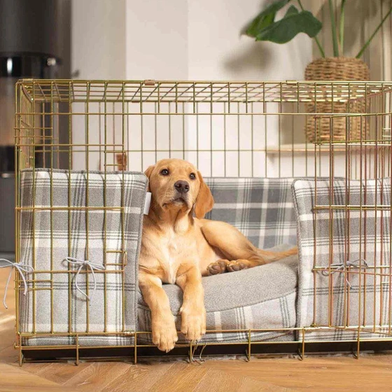 dog-square-cage-1.webp