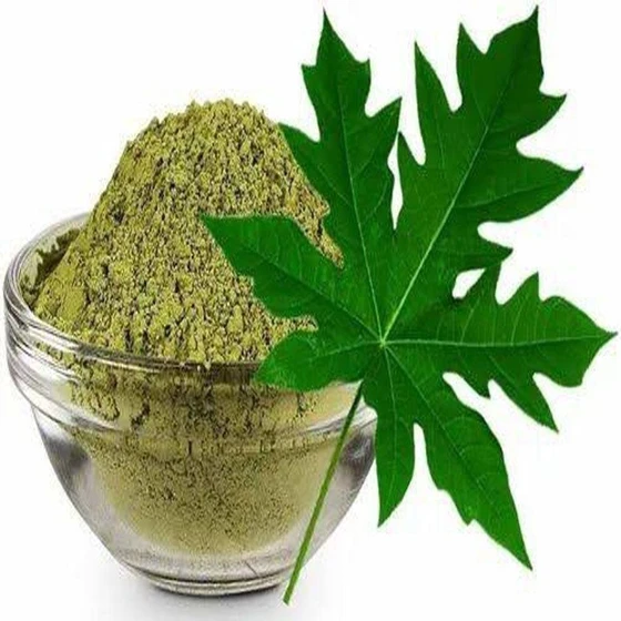 papaya-leaf-powder-1.webp