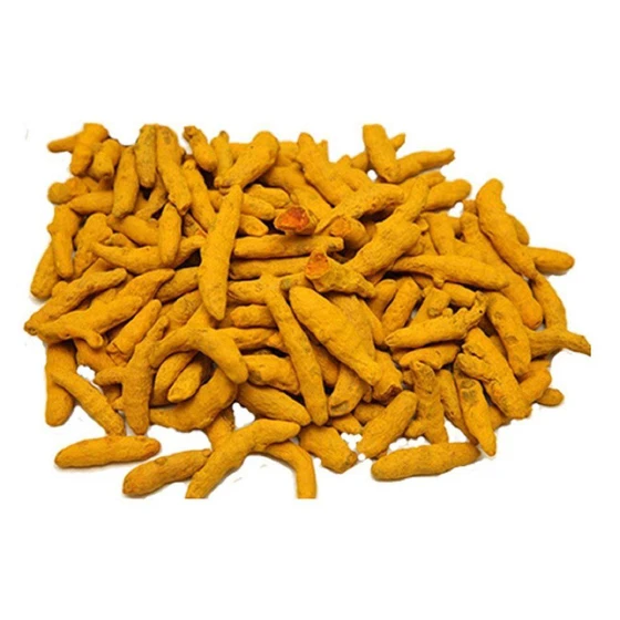 dried-turmeric-finger-1.webp
