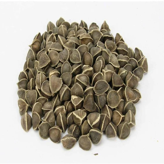 herbal-moringa-seed-1.webp