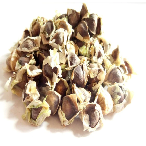 herbal-moringa-seed-2.webp