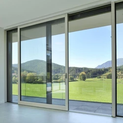 Sliding Window Door