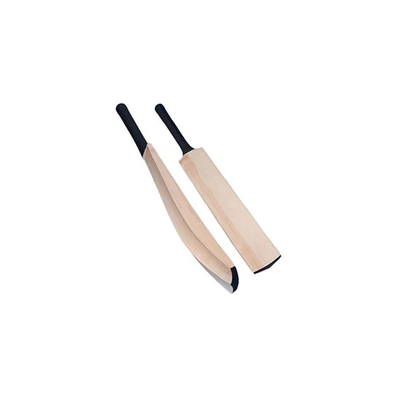 solid-wood-cricket-bat-2.webp
