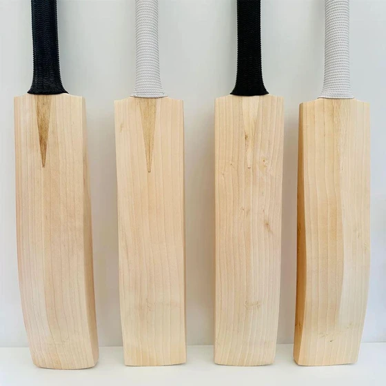 wood-playing-cricket-bat-1.webp