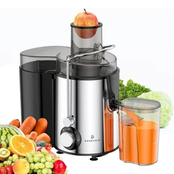 Electric Juicer Machine