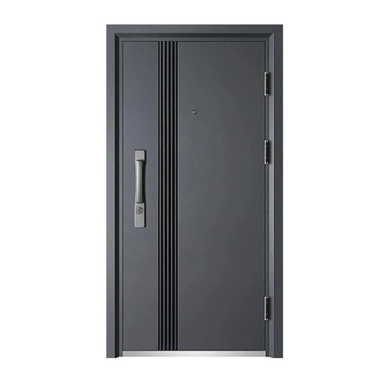 steel-security-doors-2.webp