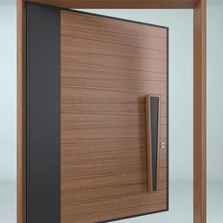 Laminate Flush Door