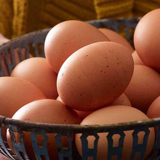 fresh-brown-egg-1.webp