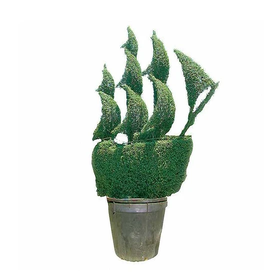 beautiful-vessel-topiary-1.webp