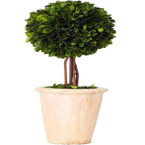 beautiful-vessel-topiary-2.webp