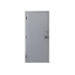 Commercial Steel Door