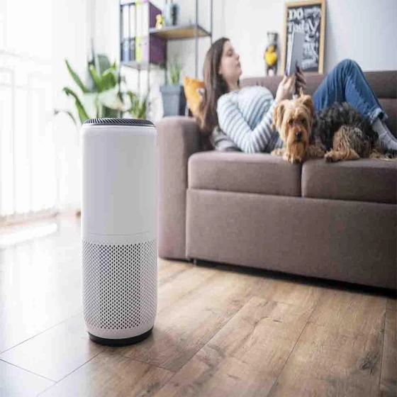 home-air-purifier-1.webp
