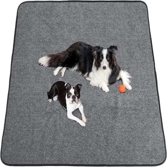 washable-dog-floor-mat-1.webp