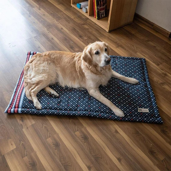 washable-dog-floor-mat-2.webp