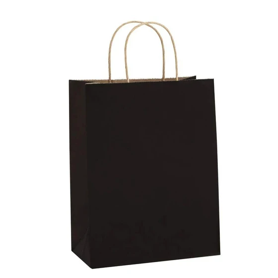 paper-carry-bags-2.webp