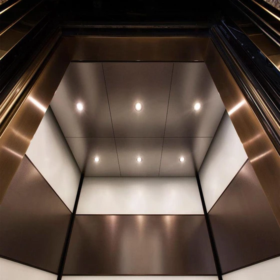 elevator-designer-ceiling-2.webp