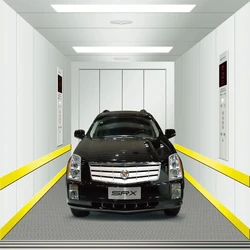 Stainless Car Elevator