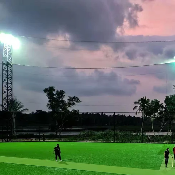 cricket-turf-bellinturf-2.webp