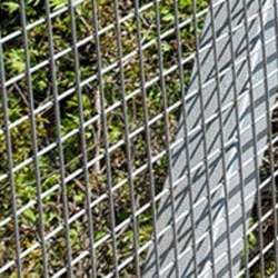 Iron Wire Fencing