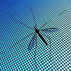 Anti Insect Screens For Home, Hotel, Hospital and Hotel