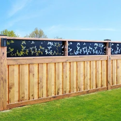 Iron Wall Fencing