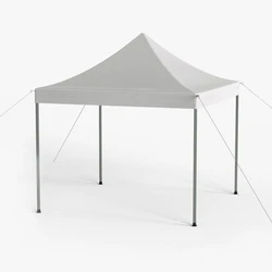Tent Gazebo Canopy