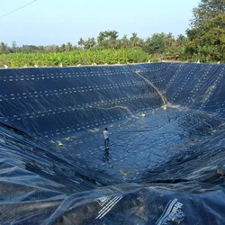 Hdpe Geo-Membrane Pond
