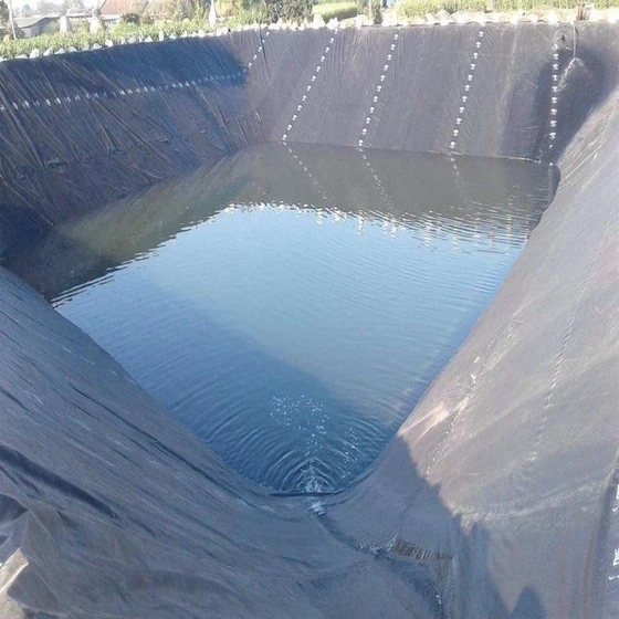 agro-pond-lining-1.webp