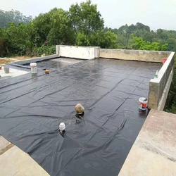 Foundation Geomembranes Sheet