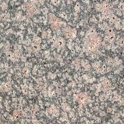 Best Selling Beautiful Bala Flower Granite Stone Supplier